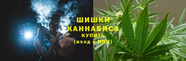 шишки Алексин