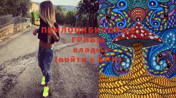 шишки Алексин