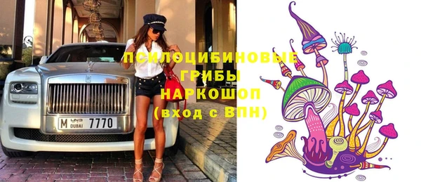 ешки Козельск
