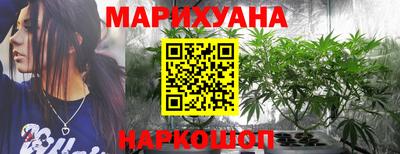 прущие грибы Пенза