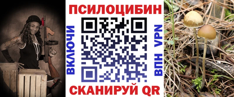 Галлюциногенные грибы Cubensis Петровск