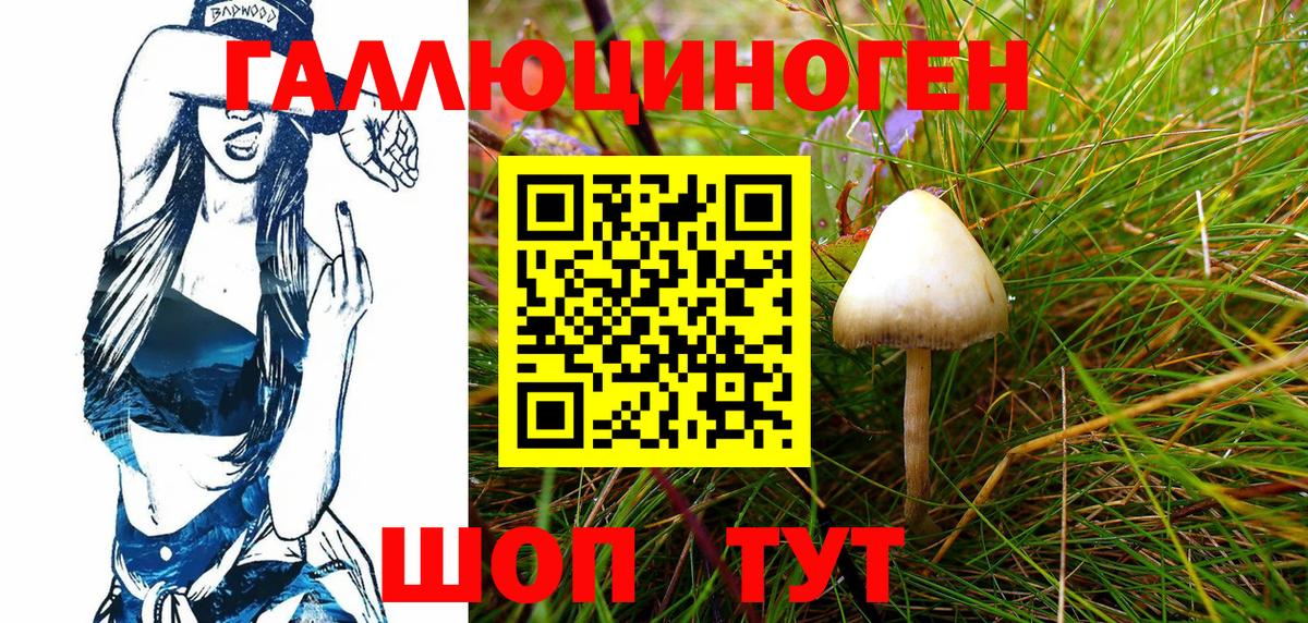 Псилоцибиновые грибы MAGIC MUSHROOMS  Вход с VPN  Петровск 